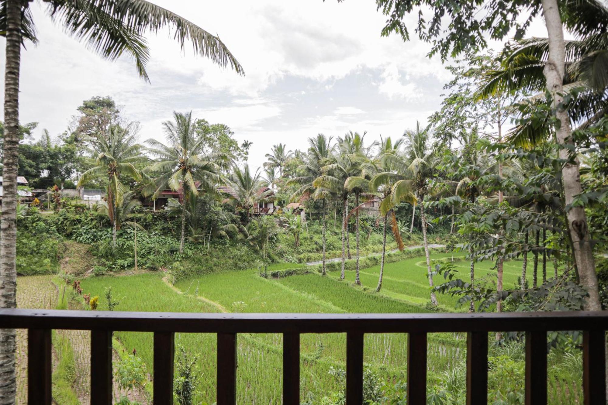 Nea Cottage Lombok Tetebatu Eksteriør billede