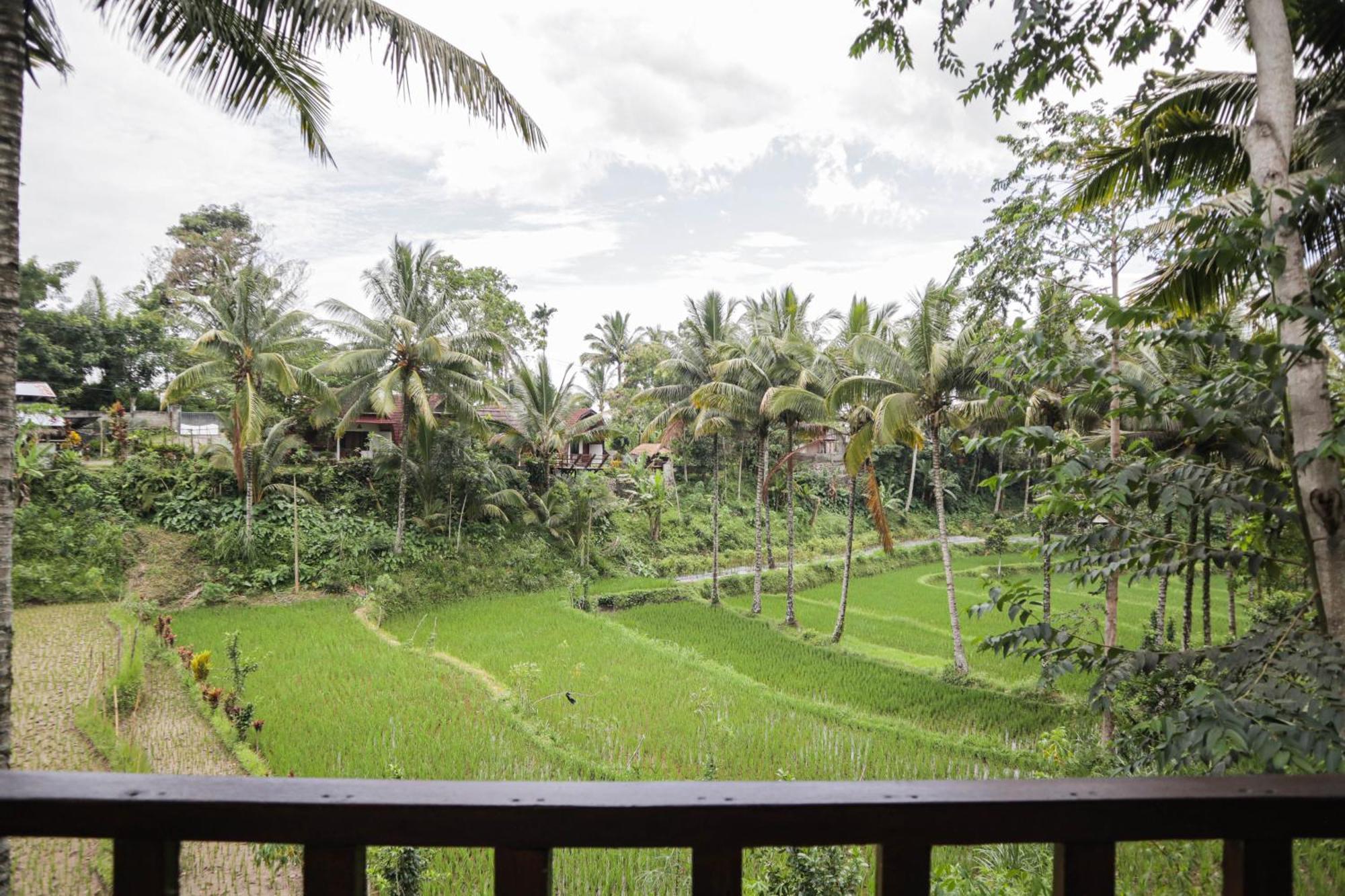 Nea Cottage Lombok Tetebatu Eksteriør billede