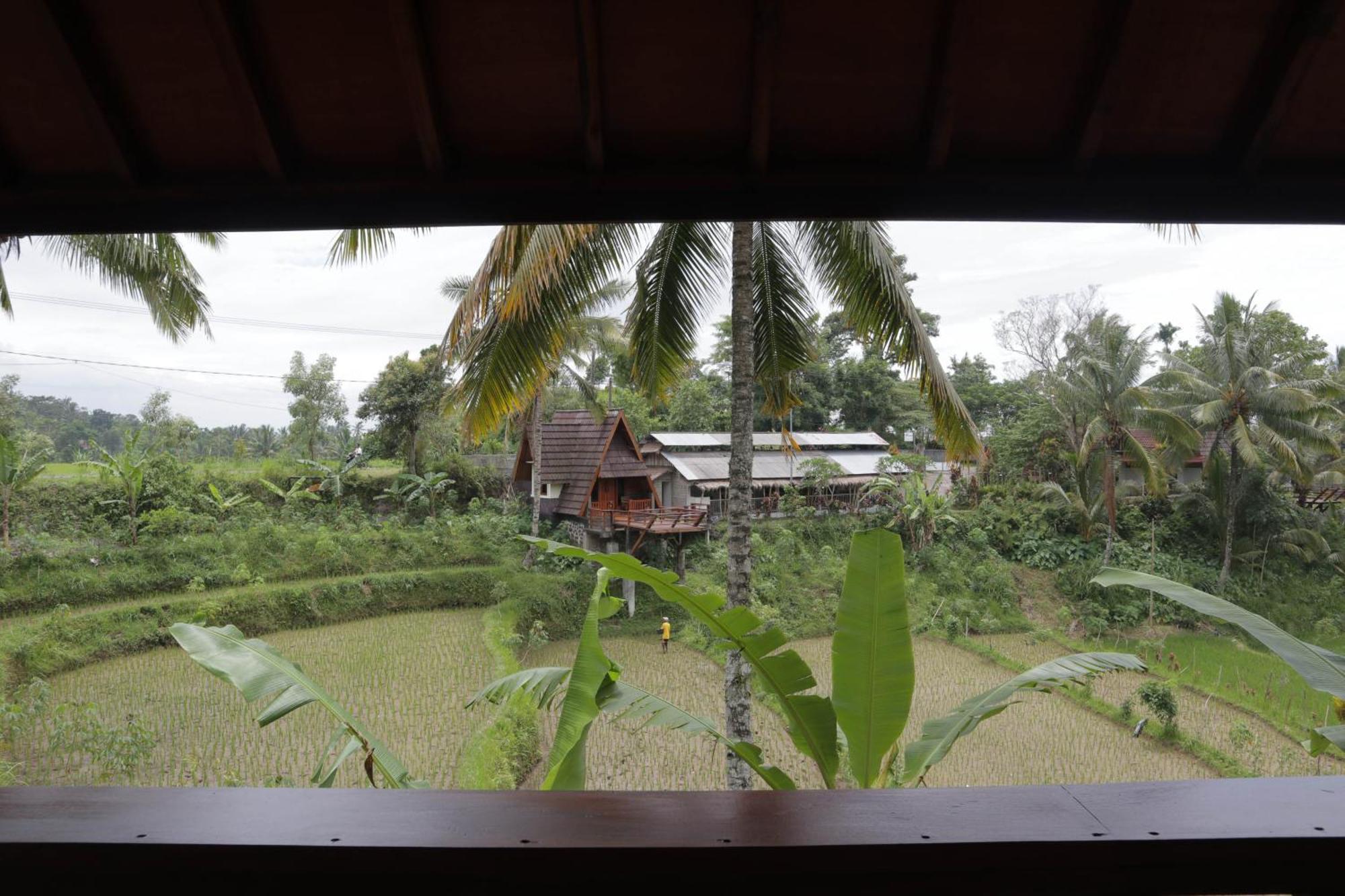 Nea Cottage Lombok Tetebatu Eksteriør billede