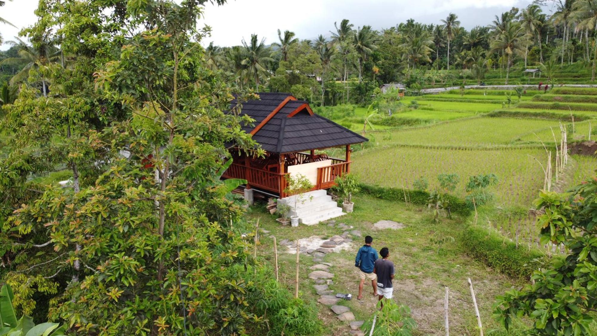 Nea Cottage Lombok Tetebatu Eksteriør billede
