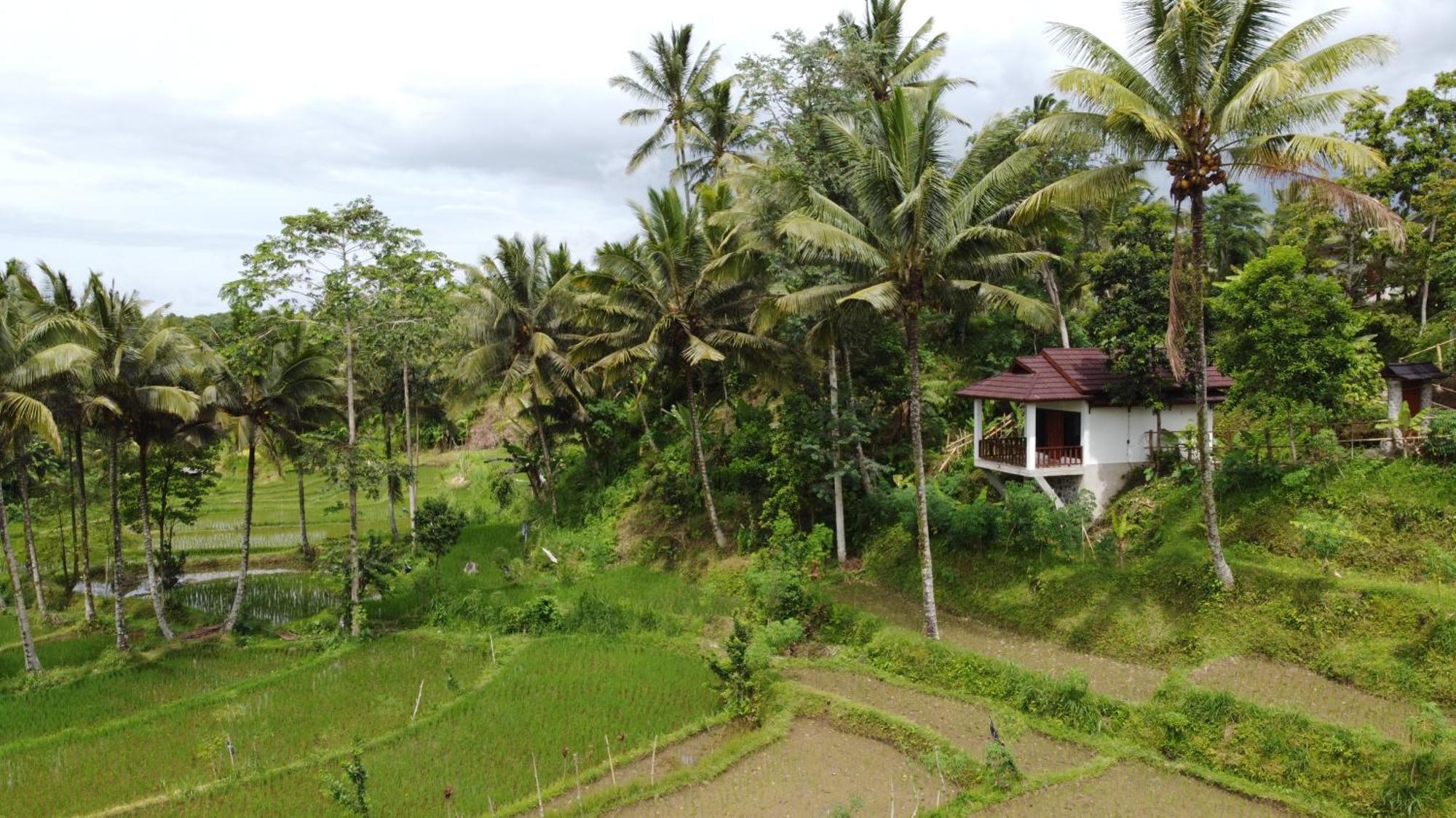 Nea Cottage Lombok Tetebatu Eksteriør billede