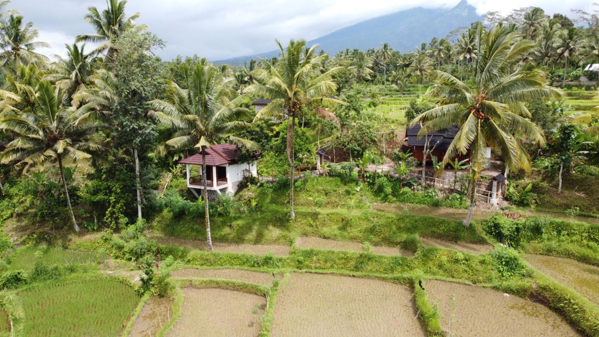 Nea Cottage Lombok Tetebatu Eksteriør billede
