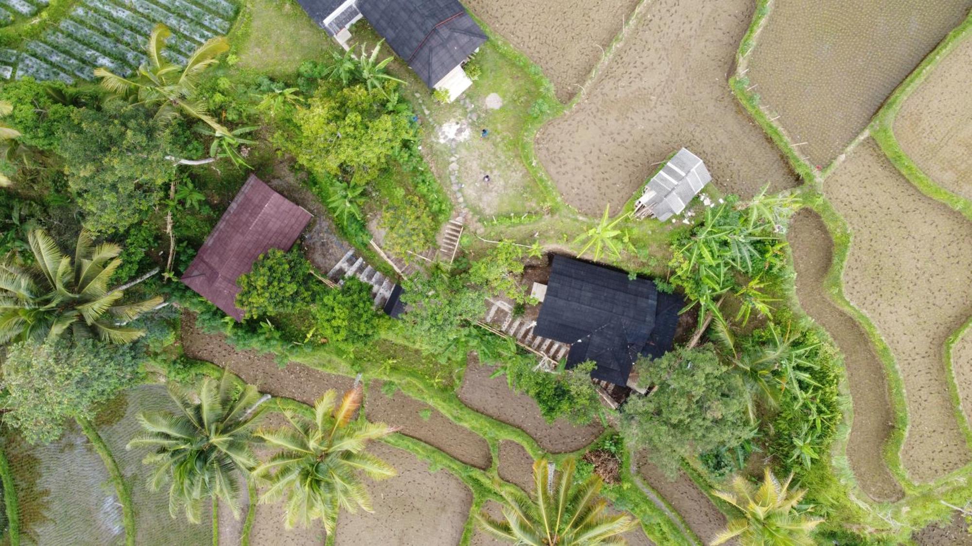Nea Cottage Lombok Tetebatu Eksteriør billede