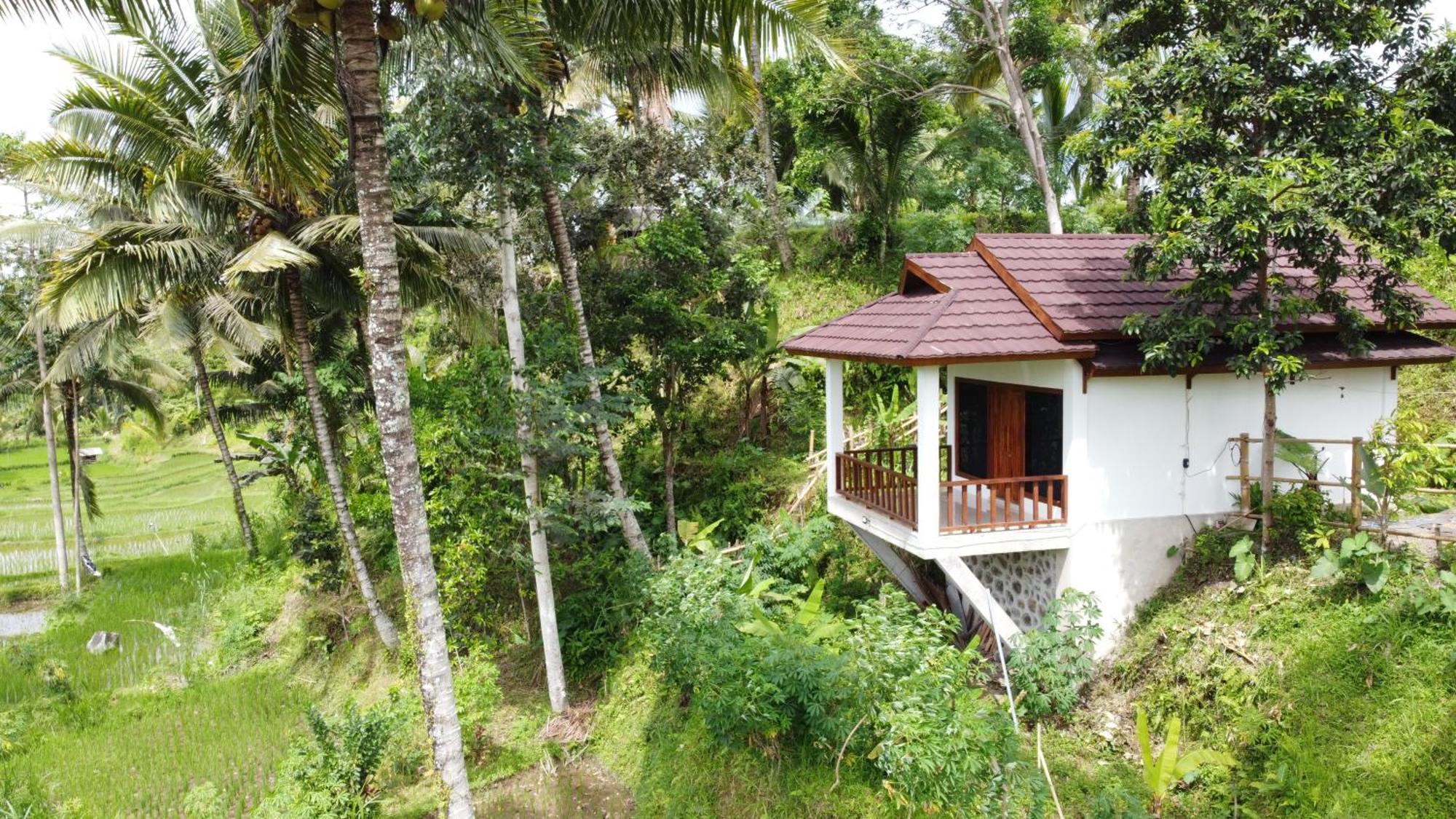 Nea Cottage Lombok Tetebatu Eksteriør billede