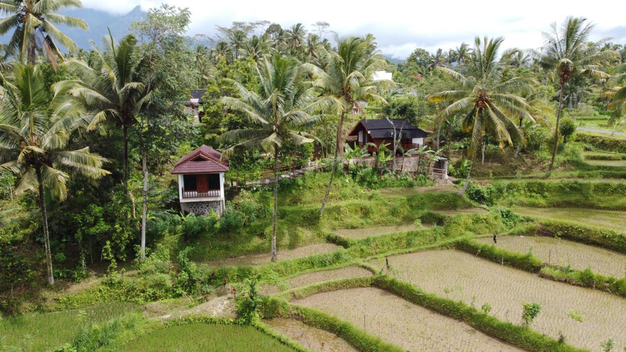 Nea Cottage Lombok Tetebatu Eksteriør billede