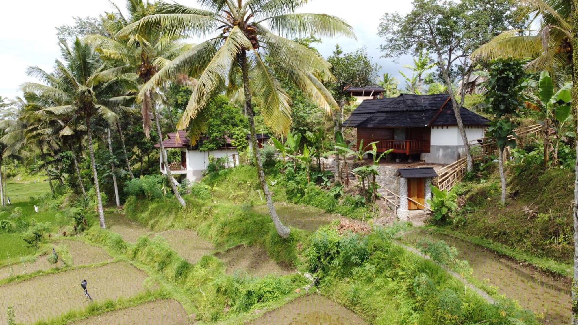 Nea Cottage Lombok Tetebatu Eksteriør billede