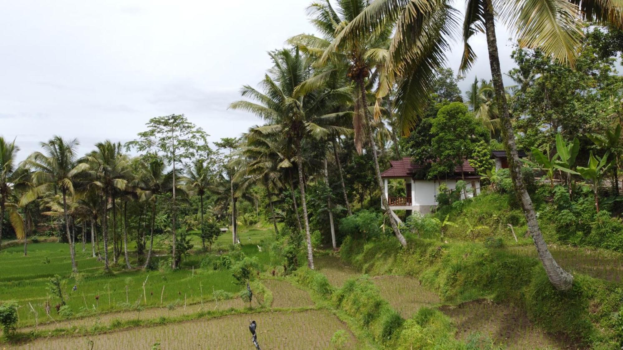 Nea Cottage Lombok Tetebatu Eksteriør billede