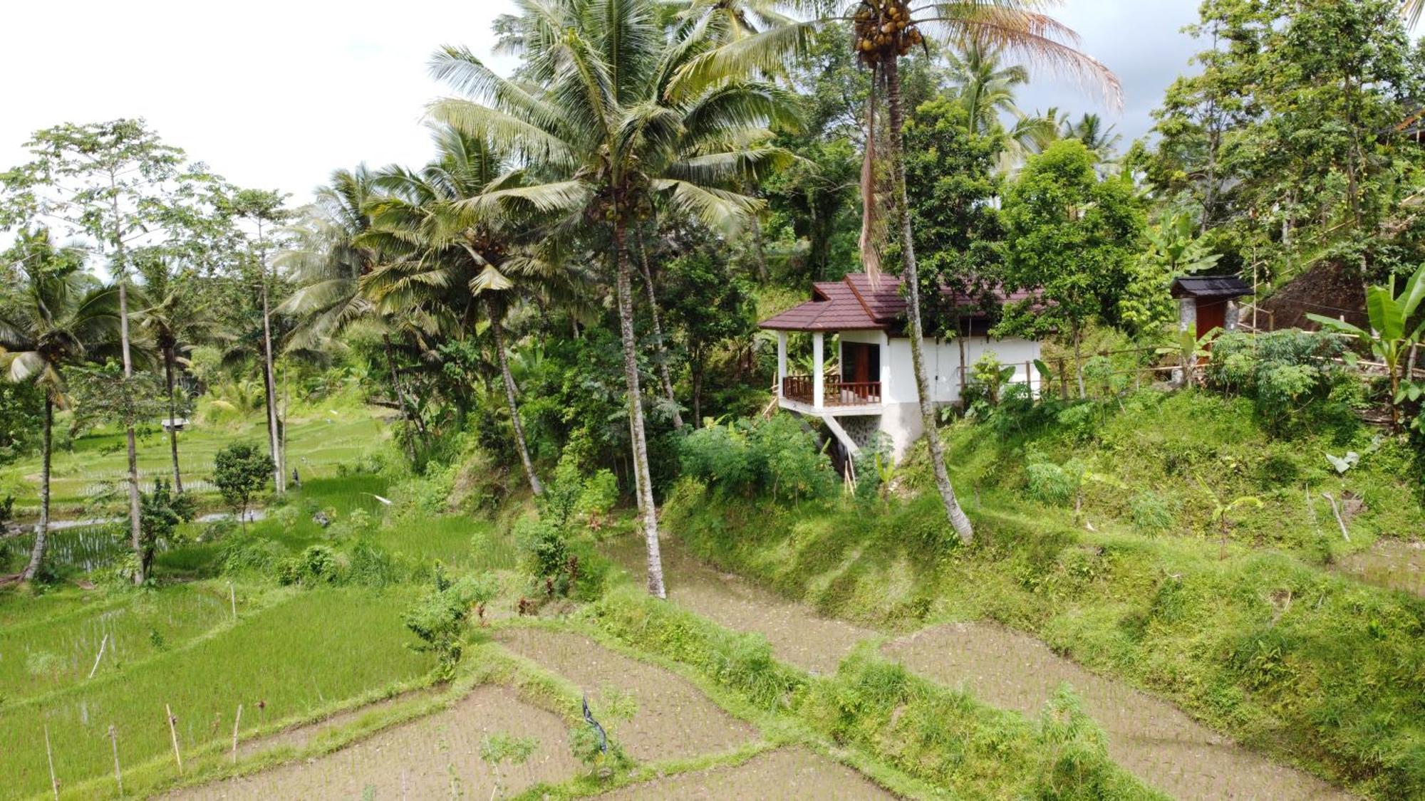 Nea Cottage Lombok Tetebatu Eksteriør billede