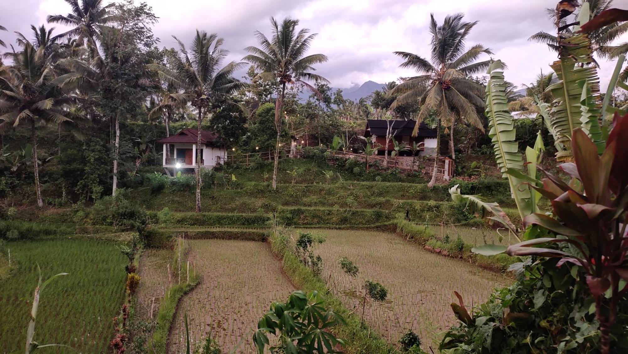 Nea Cottage Lombok Tetebatu Eksteriør billede