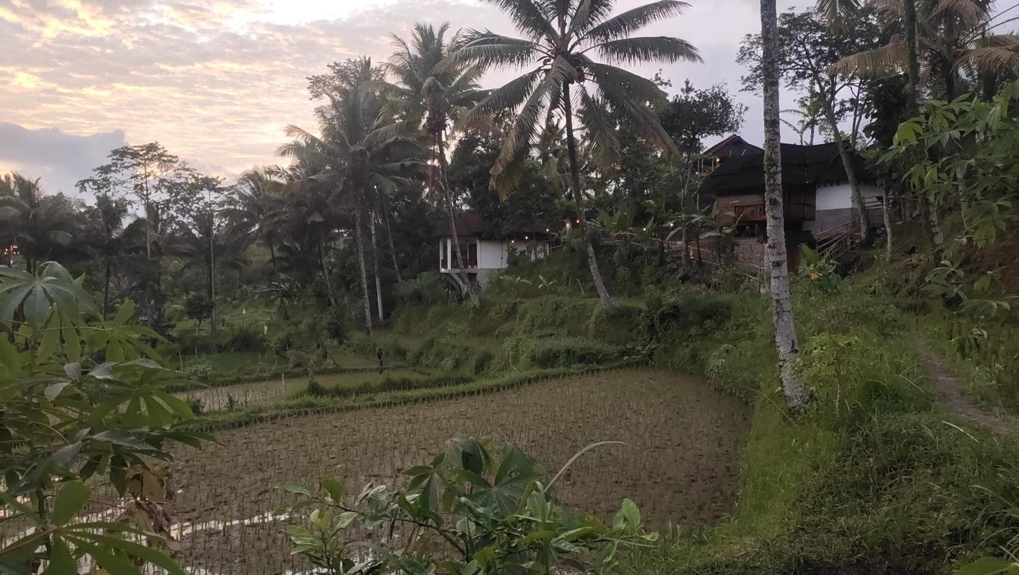 Nea Cottage Lombok Tetebatu Eksteriør billede