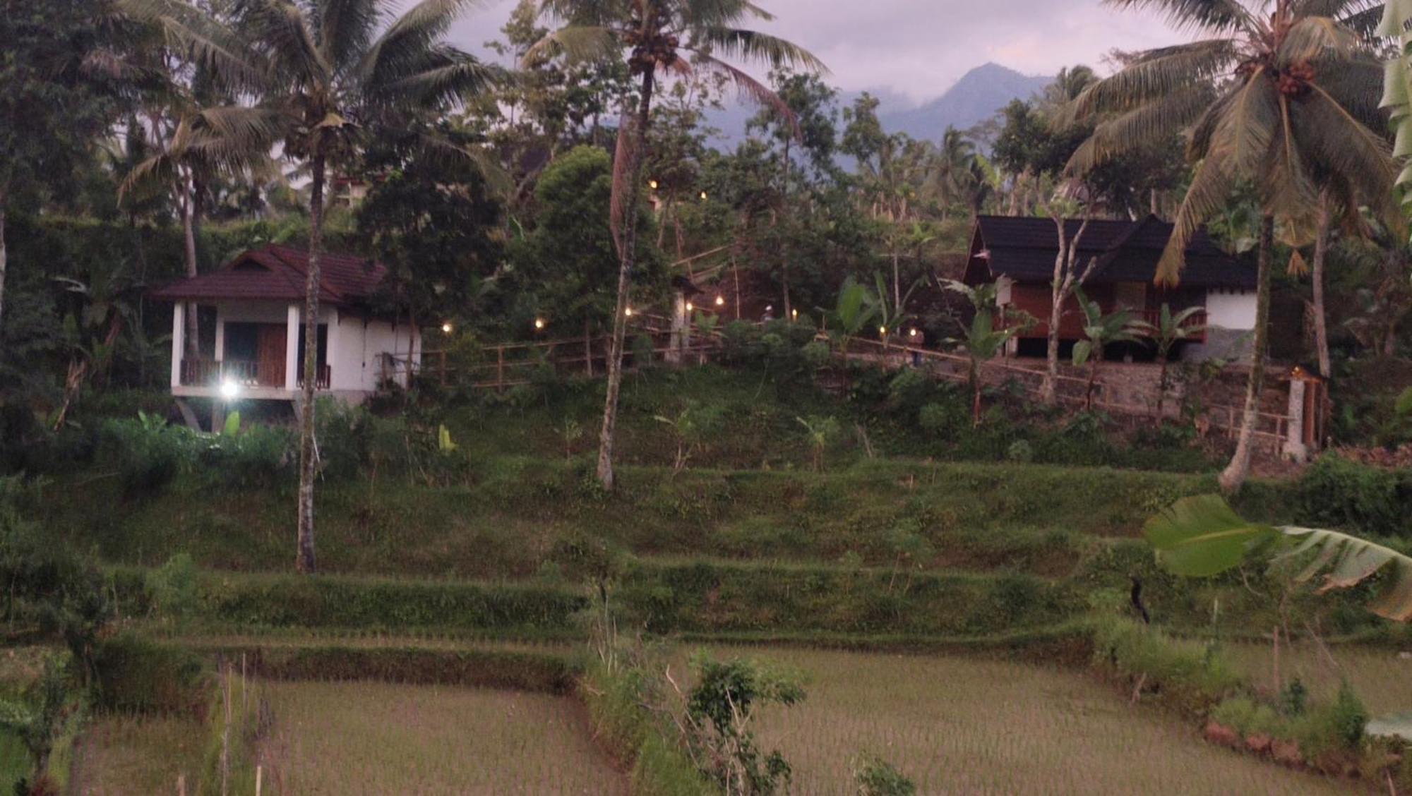 Nea Cottage Lombok Tetebatu Eksteriør billede