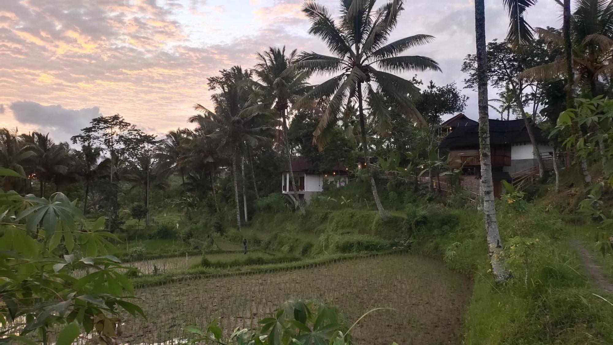 Nea Cottage Lombok Tetebatu Eksteriør billede